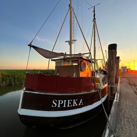 Tatil Evi Sandbar Direkt Am Deich *