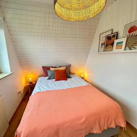 Sandbar Direkt Am Deich Spieka-Neufeld