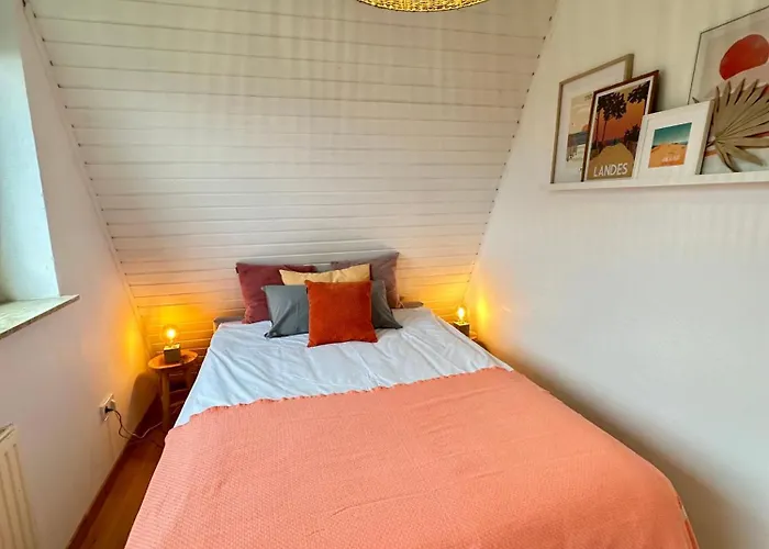 Sandbar Direkt Am Deich Spieka-Neufeld